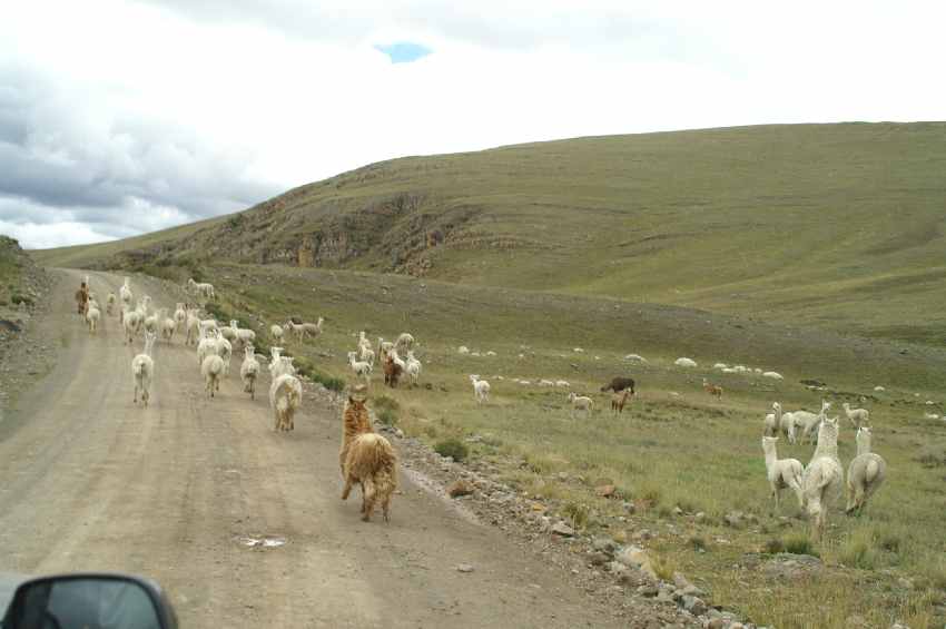 chile 257.jpg