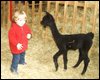 cria-29-bock-kind.jpg