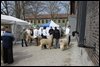 IMG_6539.JPG