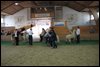 IMG_6562.JPG