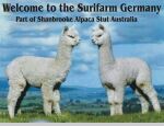 Surifarm.de