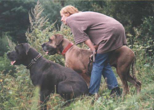 2 wach-doggen.jpg