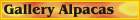 gallery-alpacas