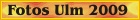 button-ulm-2009-alpaka