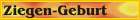 Alpaka-Ziegen-Geburt