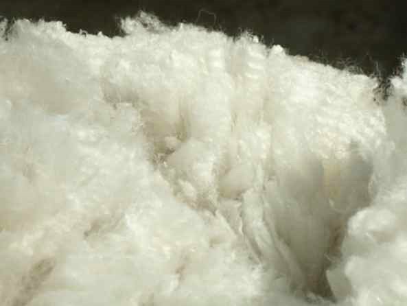 alpaca-17-faser-123.jpg