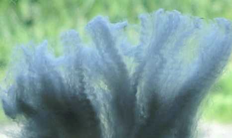 tag 17 ws fibre.jpg