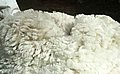 alpaca-17-faser-1.jpg