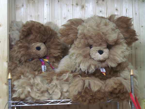 Teddybären aus Alpakafell hergestellt in Südamerika in Handarbeit