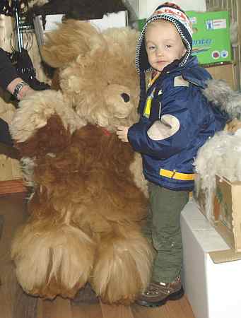Riesen Teddy aus Alpakafell 1 Meter gross