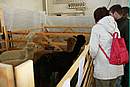 IMG_8196.jpg