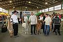 IMG_8351.jpg