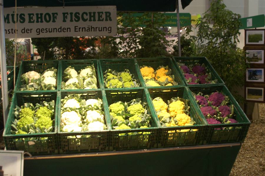 Frischgemsehof Fischer in Erfurt.JPG