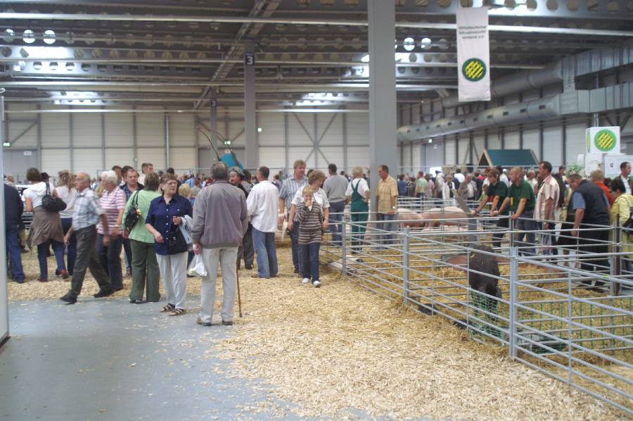 Gruene Tage in Thüringen.JPG