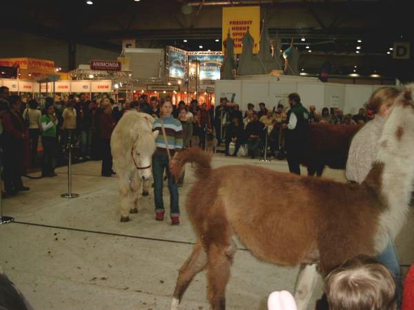 tierschau-haus-garten-freizeit-messe-1.jpg