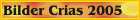 alpaka-crias-2005.jpg