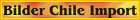 Alpaka-Bilder-Chile-Import.jpg