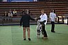 IMG_3084.JPG