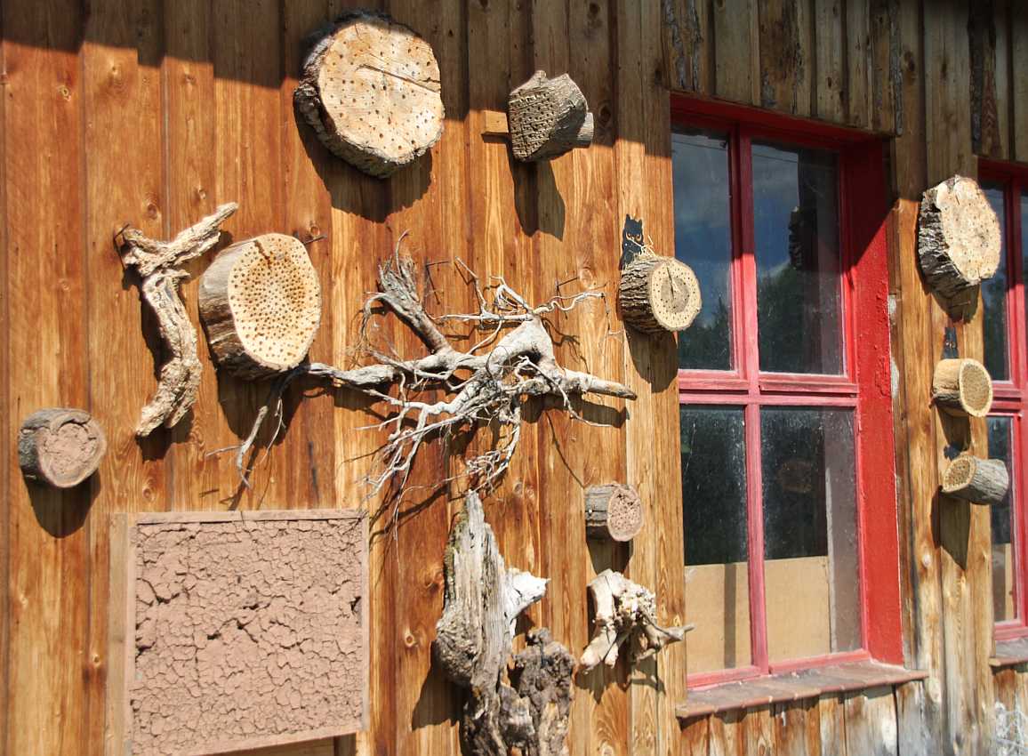 surifarm-hotels.jpg
